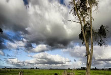 来自特朗普和NCAA全国摔跤锦标赛获得者的合照__财经头条.