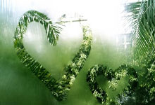 1XBET：[德甲]博尼费斯机敏前插 晃开防守劲射破门.