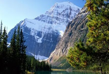 卫冕成功!澳网男单决赛辛纳直落三盘战胜兹维列夫央视新闻客户端.