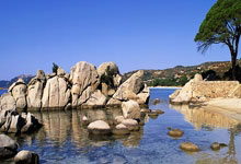 来自特朗普和NCAA全国摔跤锦标赛获得者的合照__财经头条.